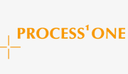 Process One Consulting